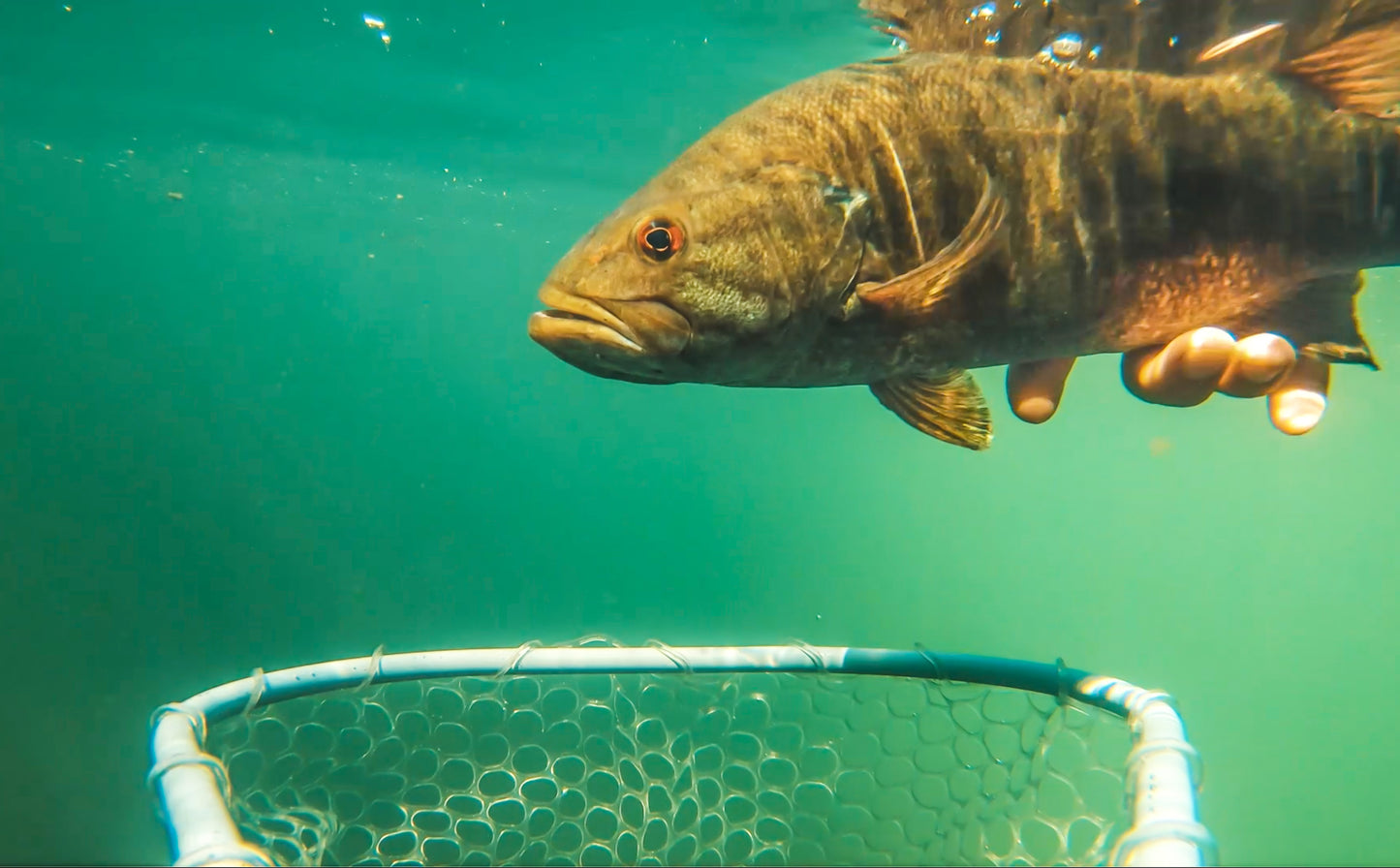 Smallie Nets